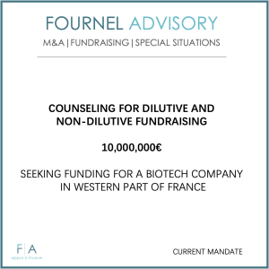 COUNSELING FOR DILUTIVE AND  NON-DILUTIVE FUNDRAISING