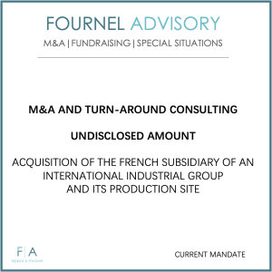 M&A AND TURN-AROUND CONSULTING