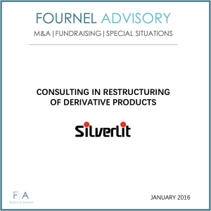 CONSULTING IN RESTRUCTURING OF DERIVATIVE PRODUCTS